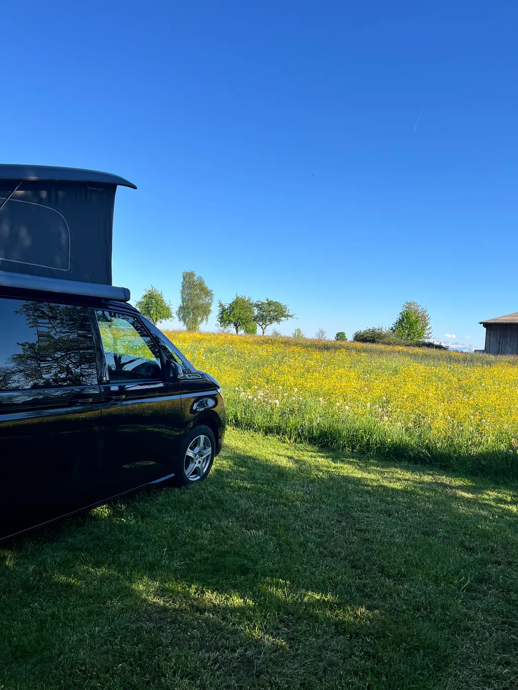 Bild von Eveli für den Spot 3837