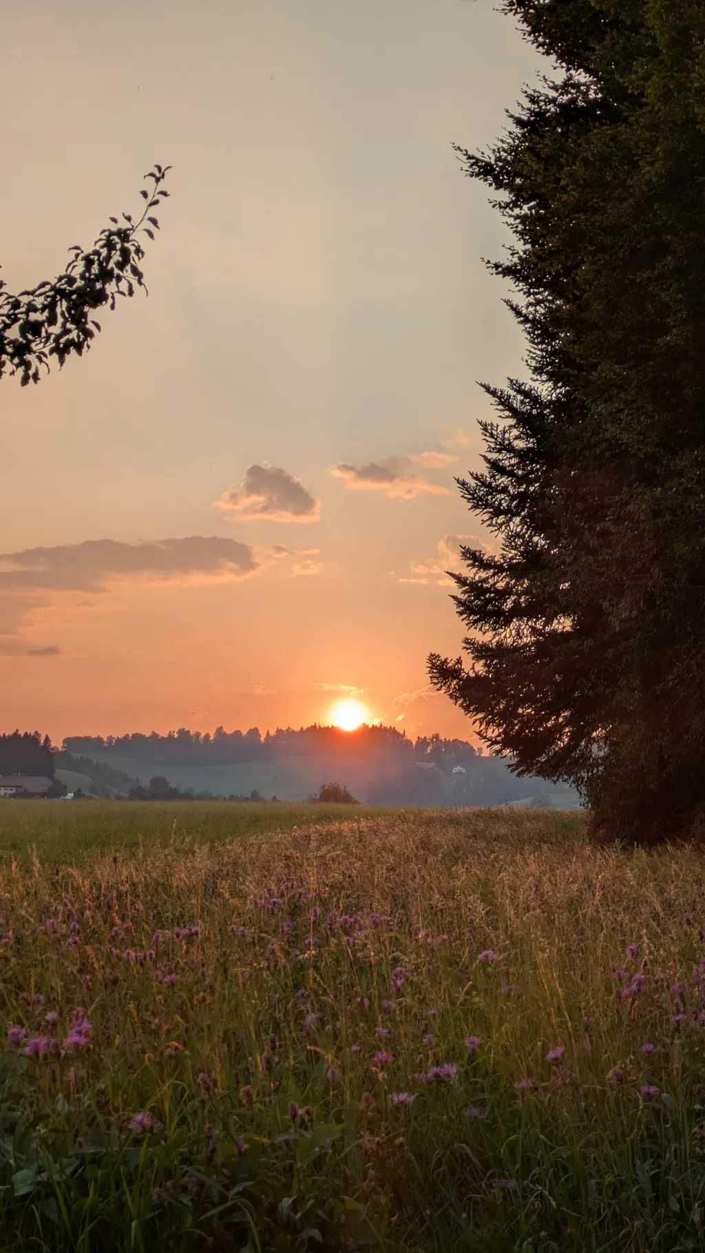 Bild von Florijan für den Spot 555