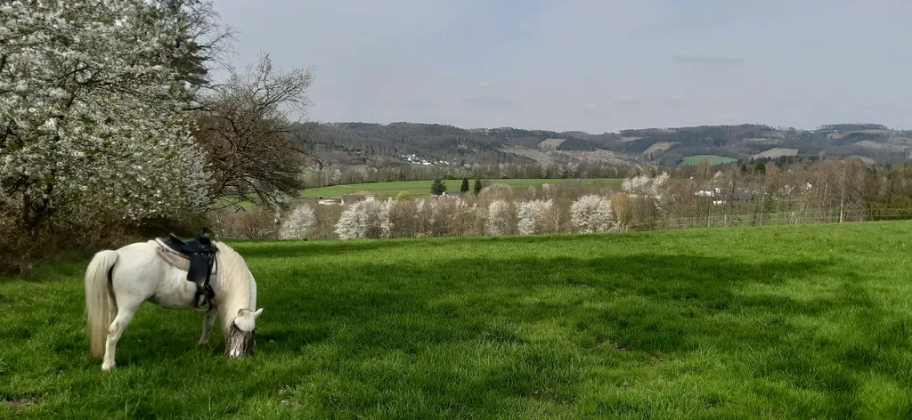 Zeltplatz Notunterkunft b.Gewitter