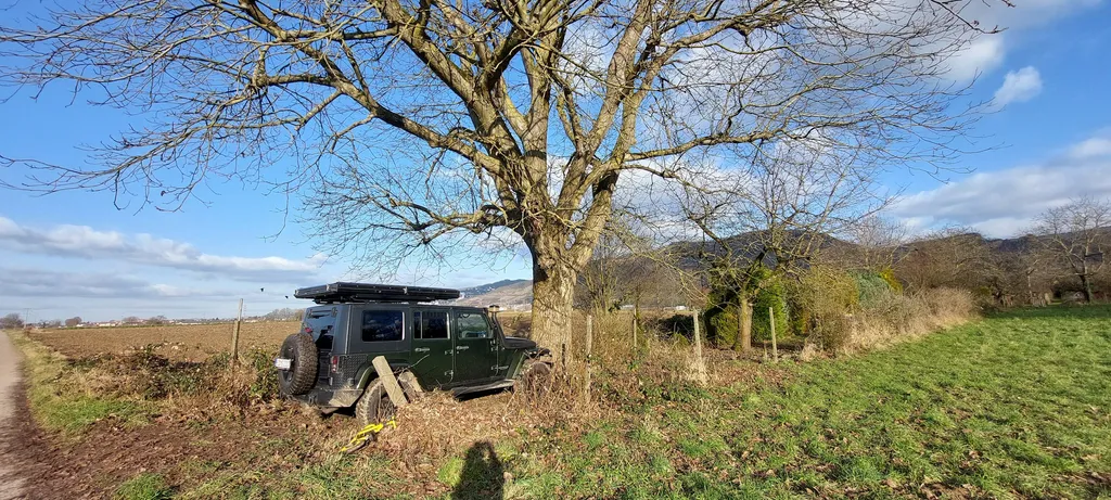 Sunset unterm größten Nussbaum