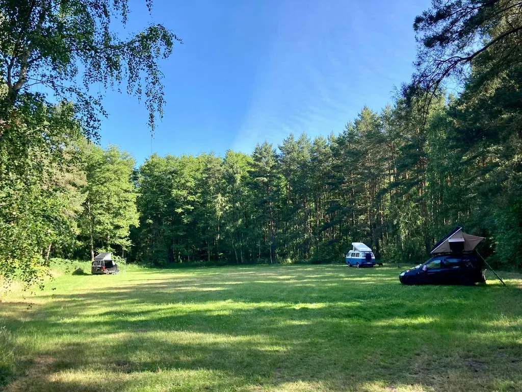 Grüne Wiese im Wald oder idyllischer Hofstellplatz