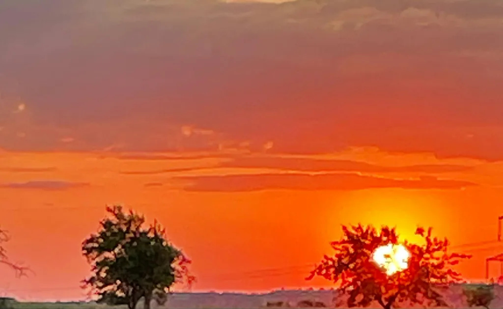 Obstgarten, Wiese Licht/Schatten