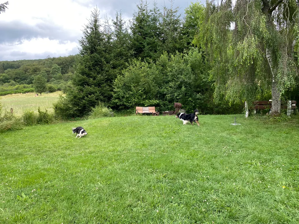 Bild von Clarissa für den Spot 1440