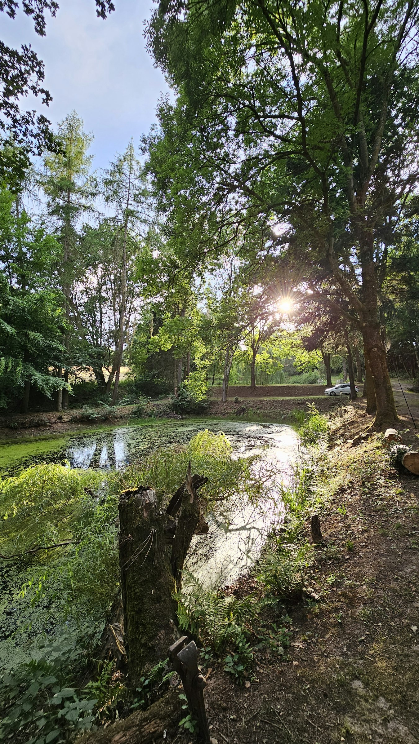 Teich im Wald, sehr ruhig 25000m2