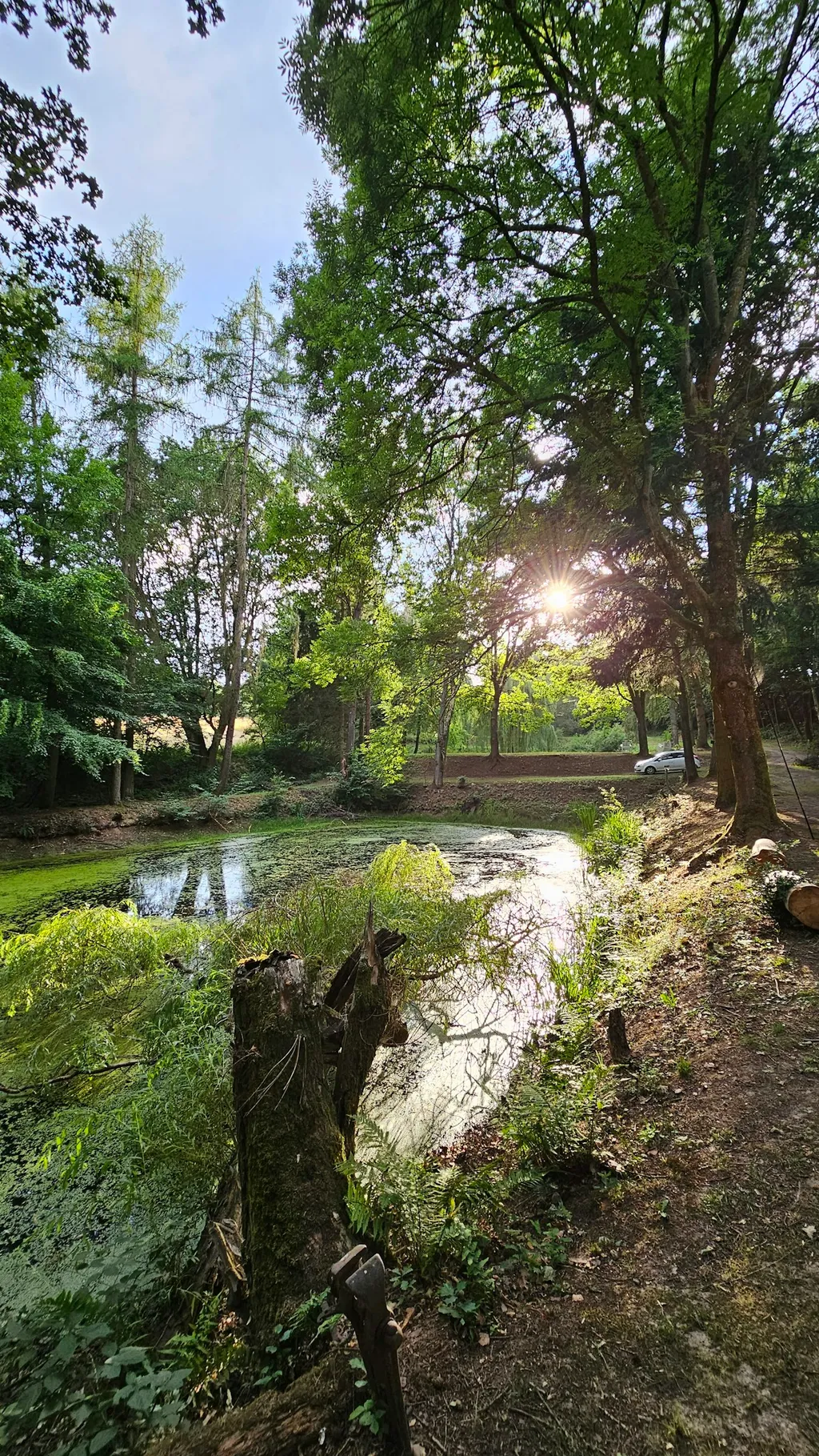 Teich im Wald, sehr ruhig 25000m2