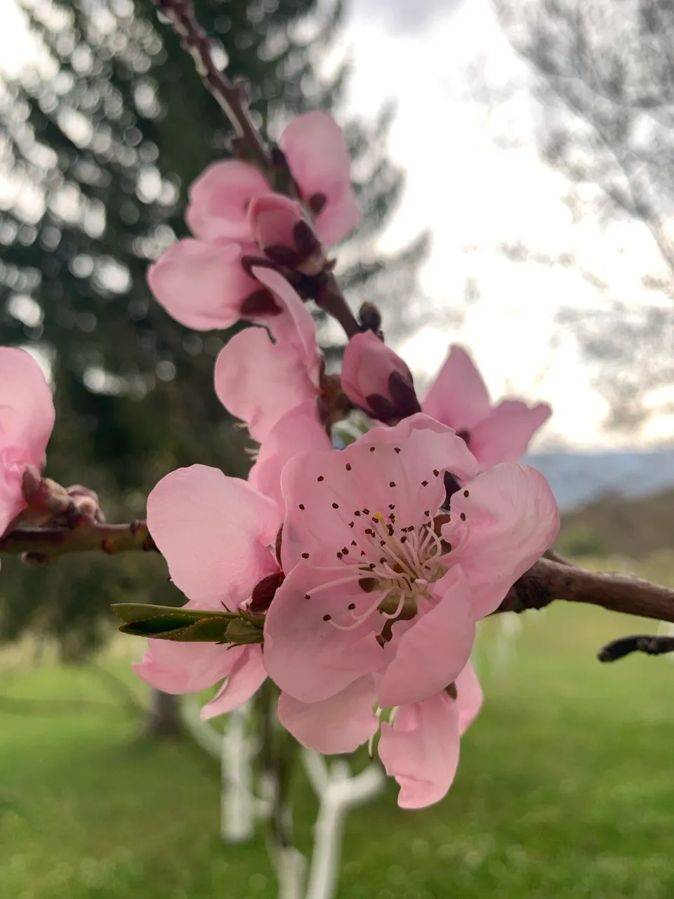 Naturnah mit Blick aufs's Una-Tal