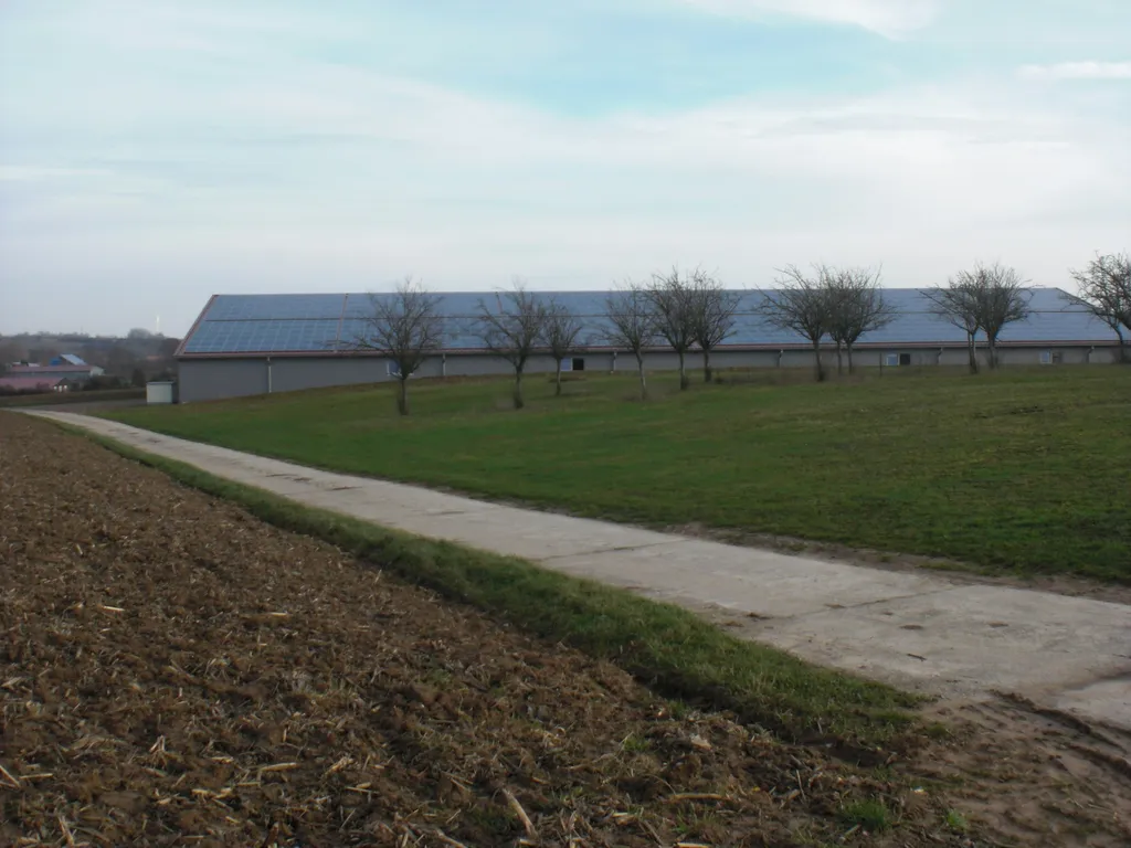 Stellplatz auf der Grünen Wiese