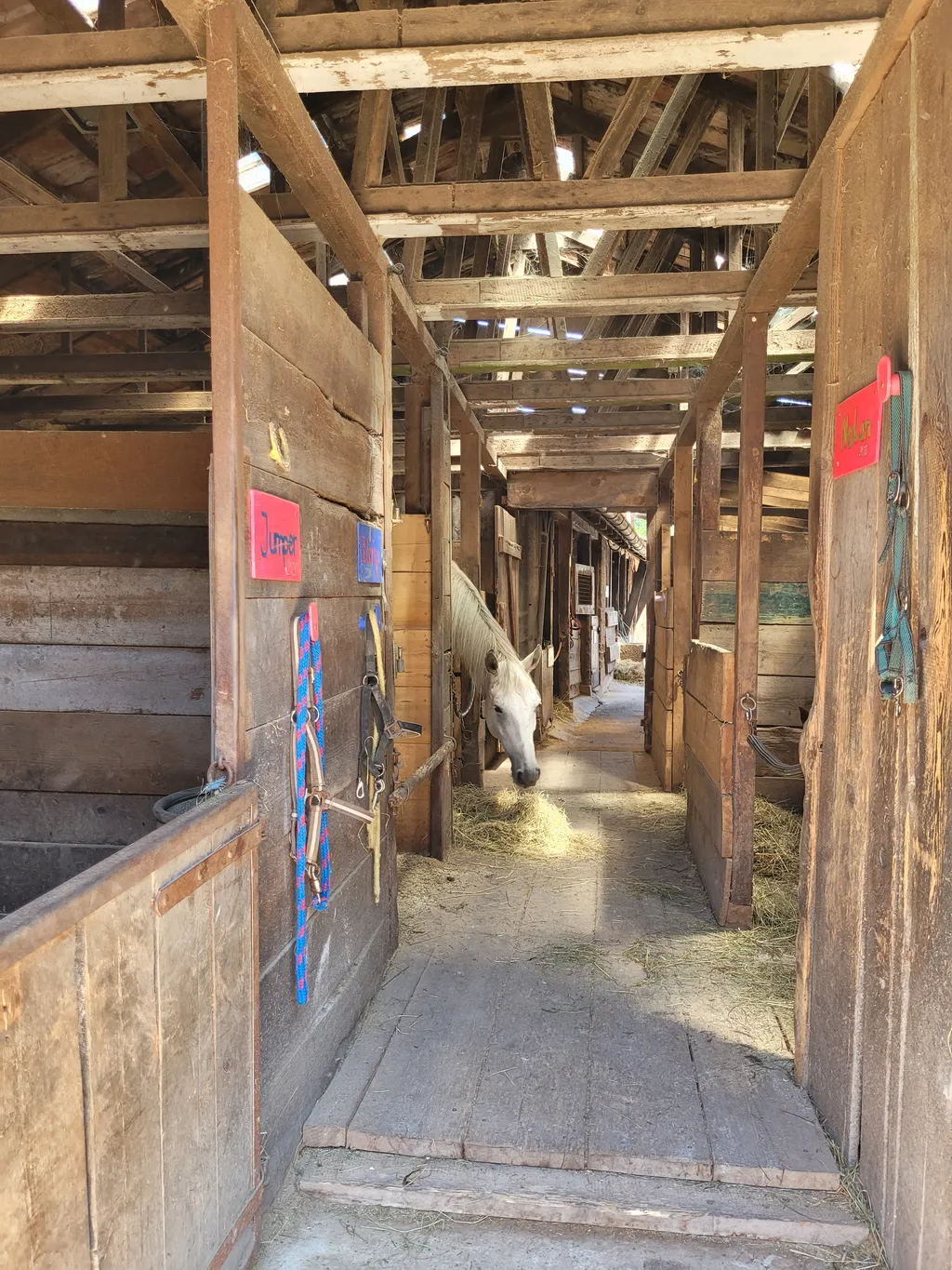 Bild von Nadine für den Spot 3647