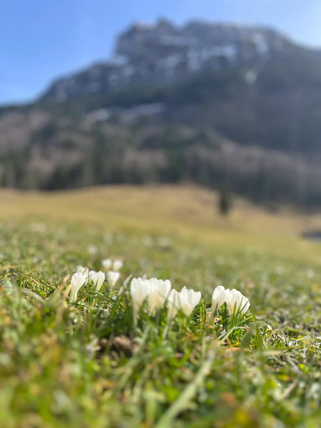 Grüne Wiesen & Weiden rund um Deinen Stellplatz - soweit das Auge reicht.