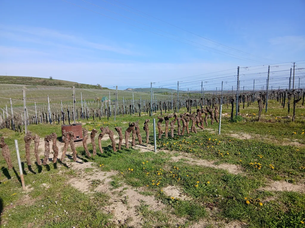 Bild von Nora für den Spot 3482