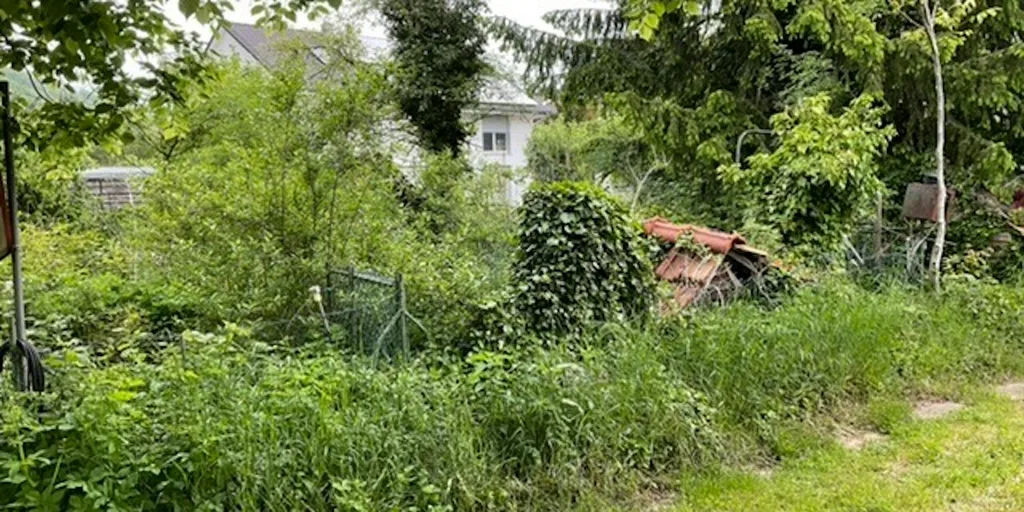 Zeltwiese im Ort am Rhein-Radweg