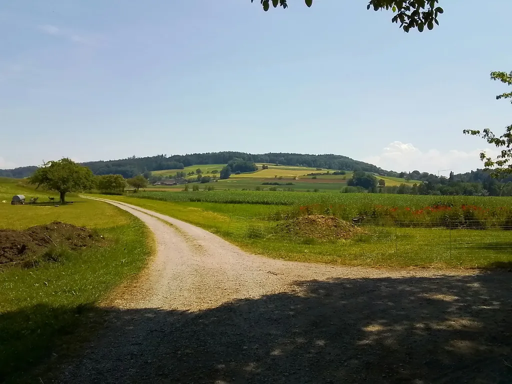 Idyllisches Camping auf dem Biohof