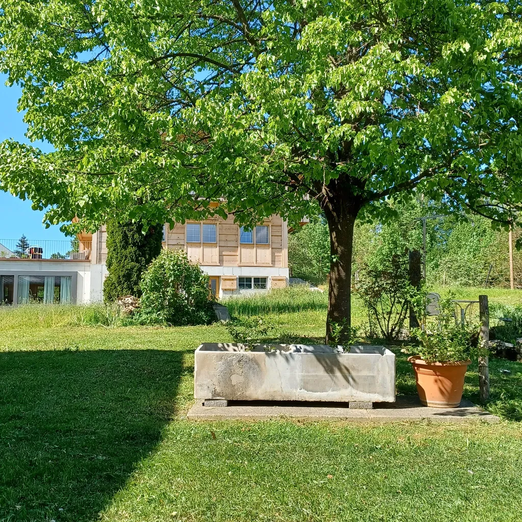 Im Hintergrund das Toggenburger Blockhaus