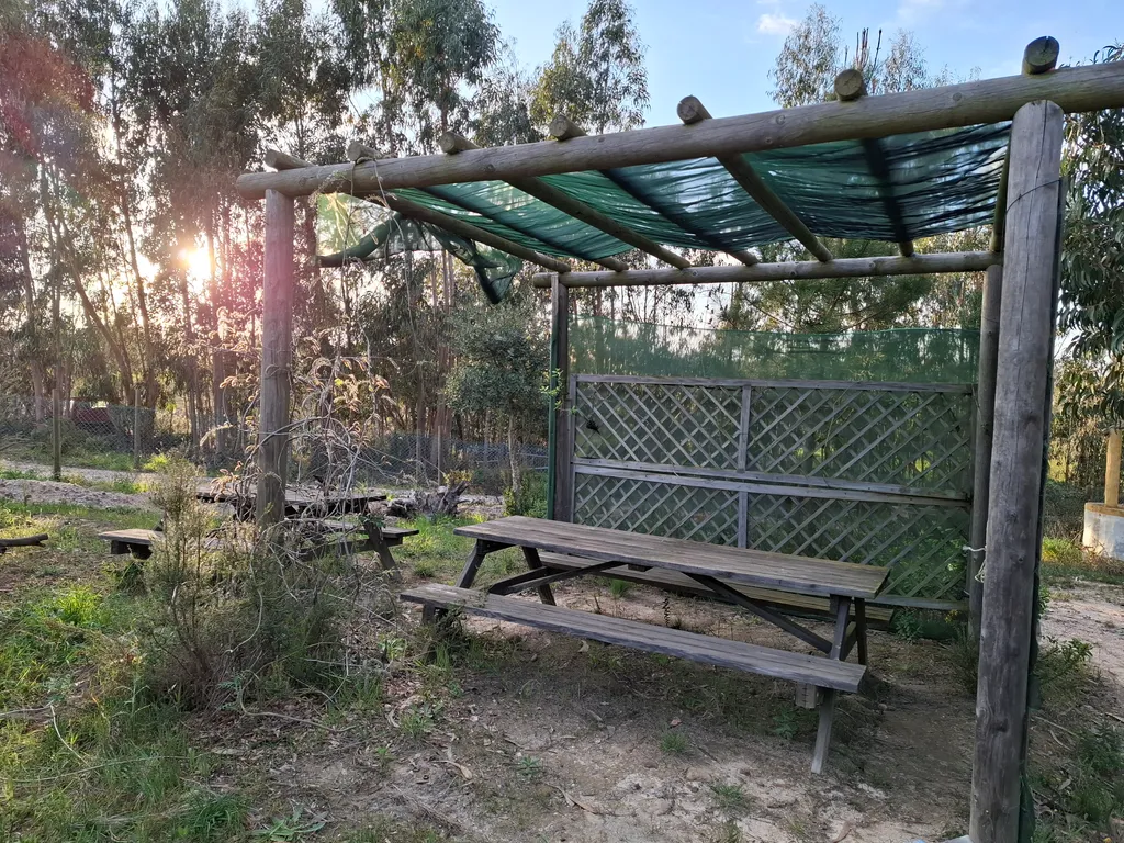 Picnic tables
