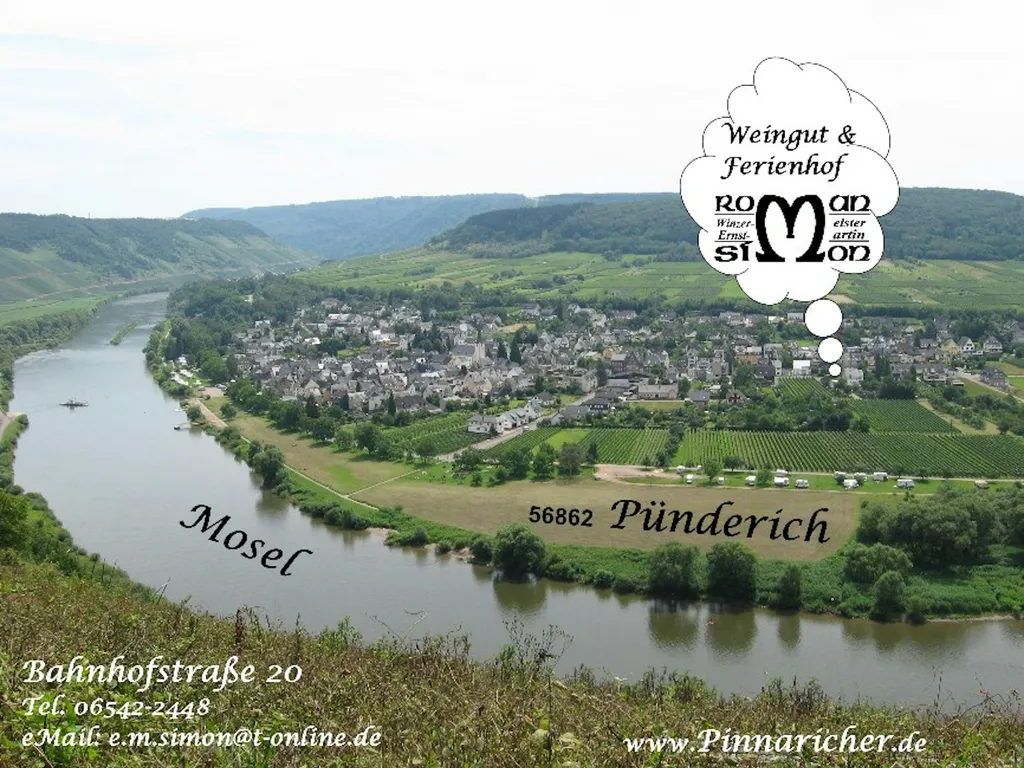 Ruhiger Stellplatz am Weingut