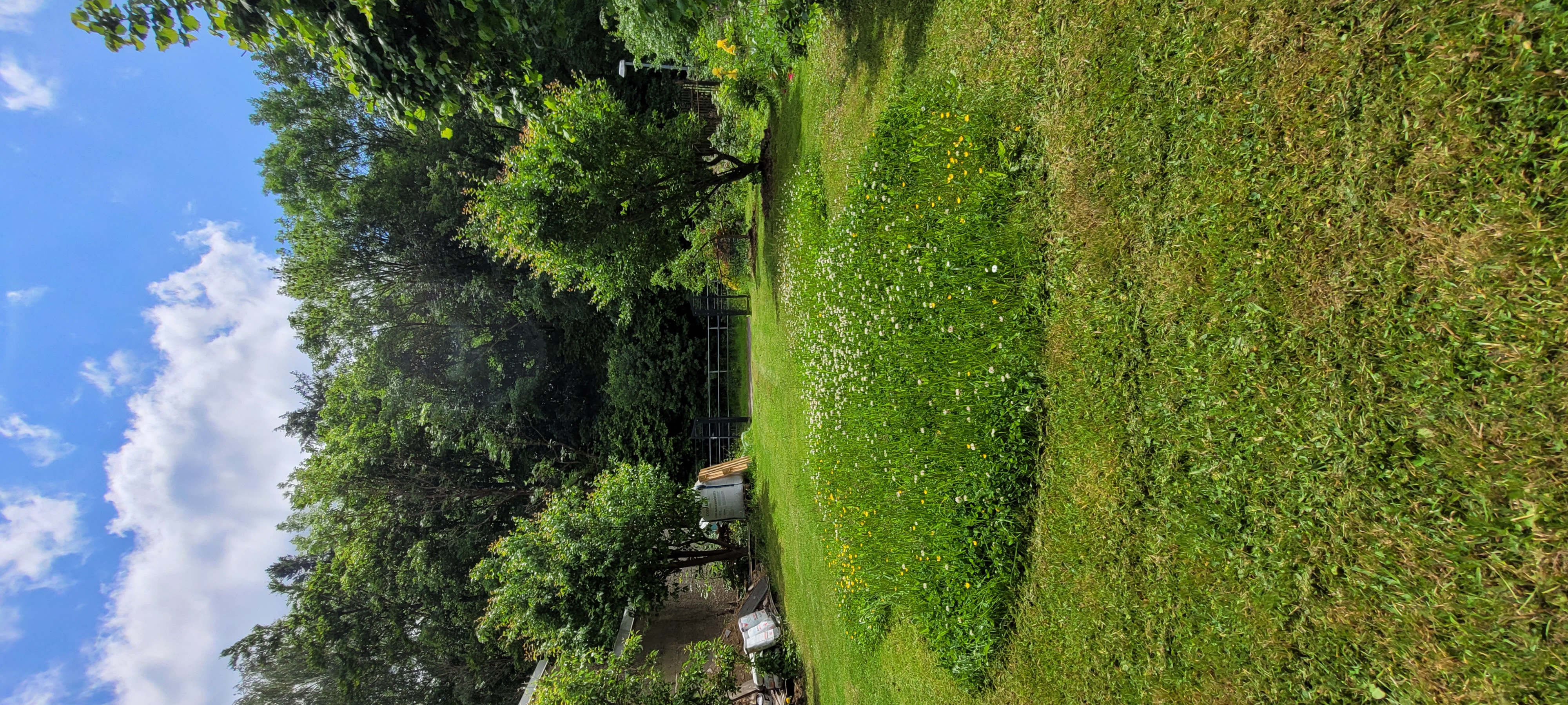 Platz im Grünen Selketal