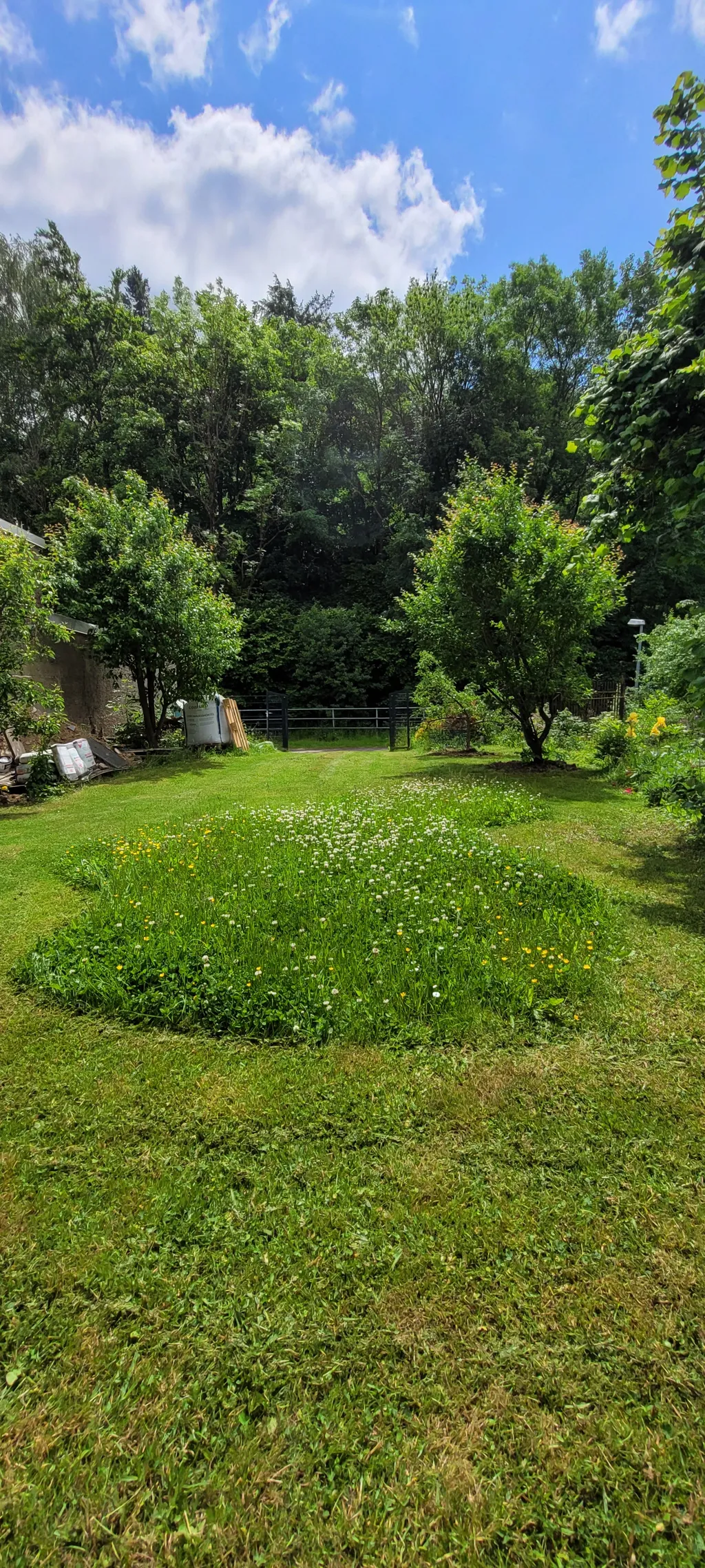 Platz im Grünen Selketal