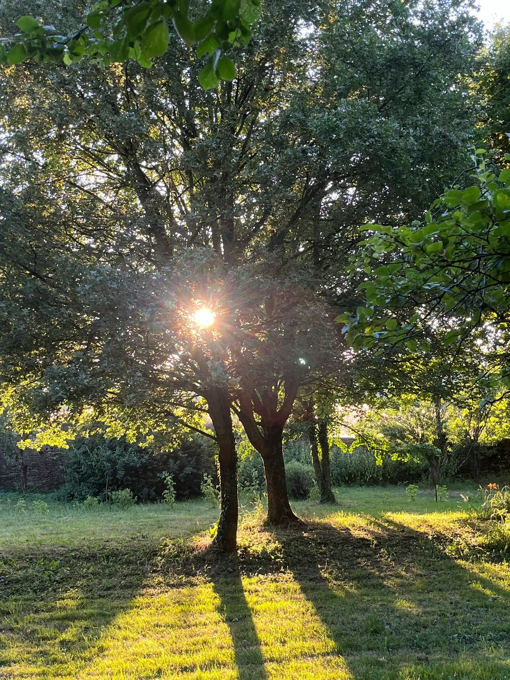 Gut Neuhof, Biosphärenreservat