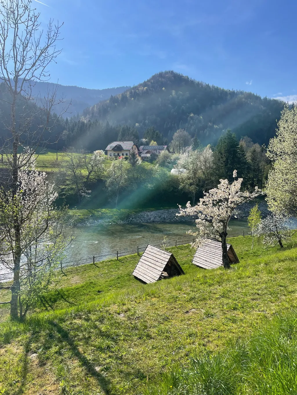 Pitch in a clearing on terrace with river view