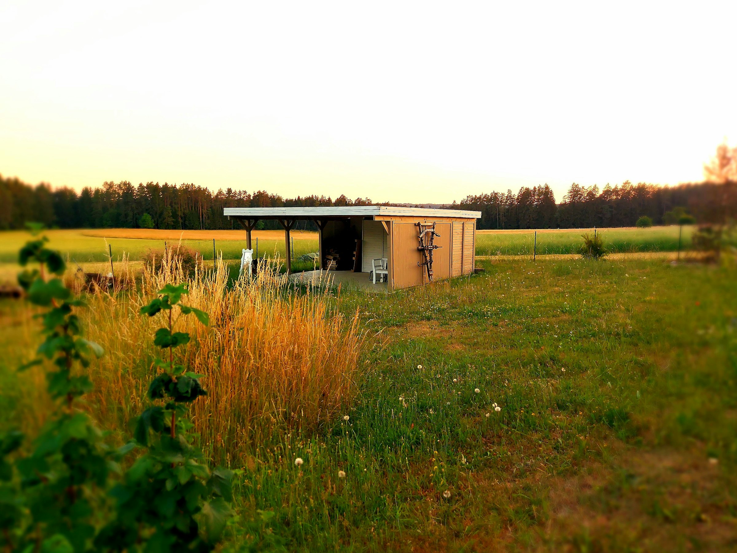 Tolles Fleckchen im Grünen