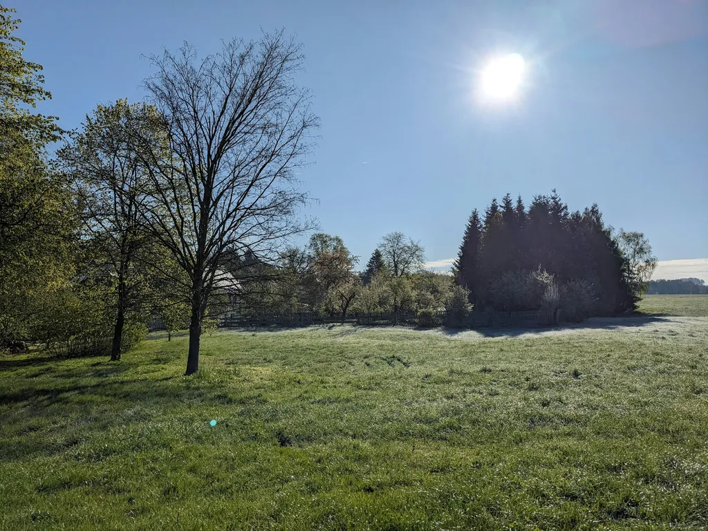 Ruhiger Naturgarten am Feldrand