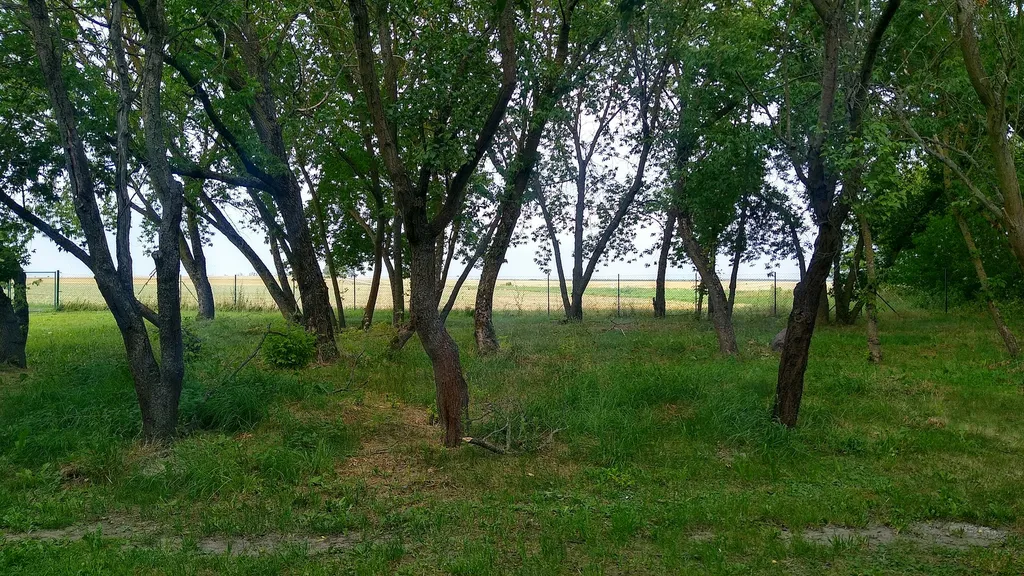 Der Eckhof im Fläming - viel Platz
