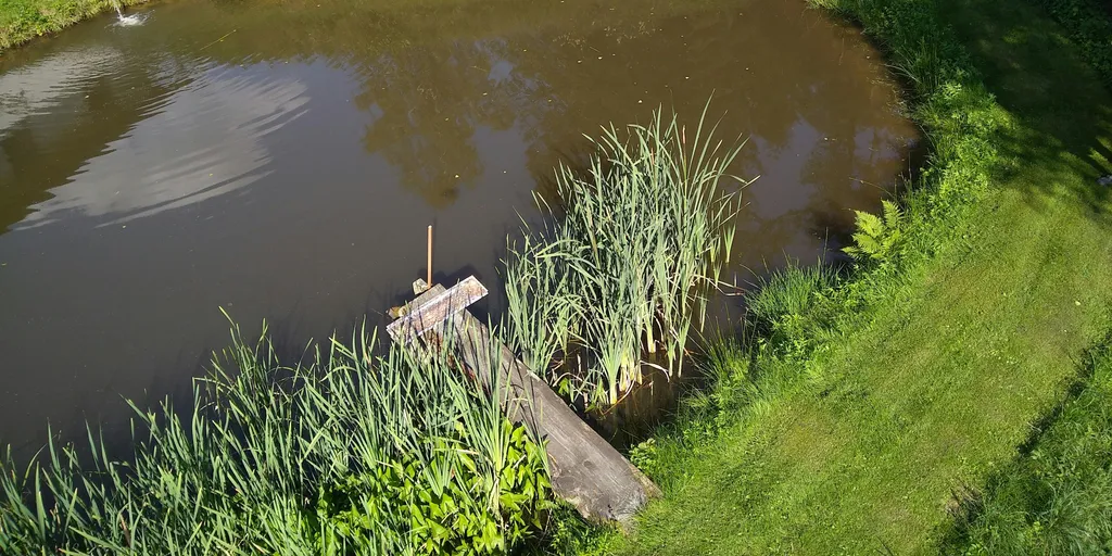 Bayrischer Wald - Sumava - Outback