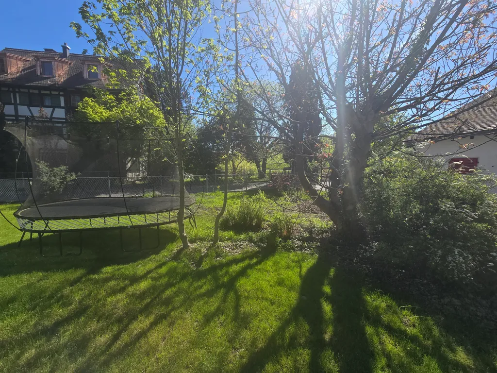 Gartenwiese mit Flussbadestelle