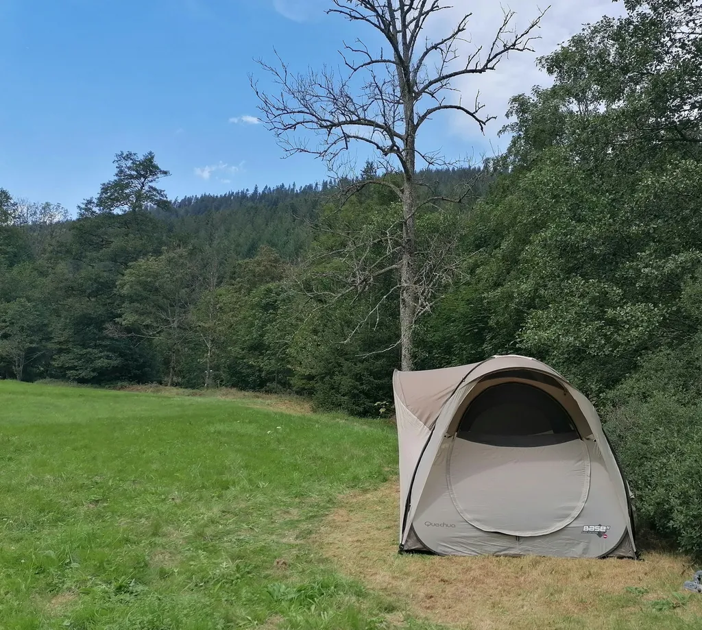 Wiese am Bach mitten im Nationalpark Schwarzwald