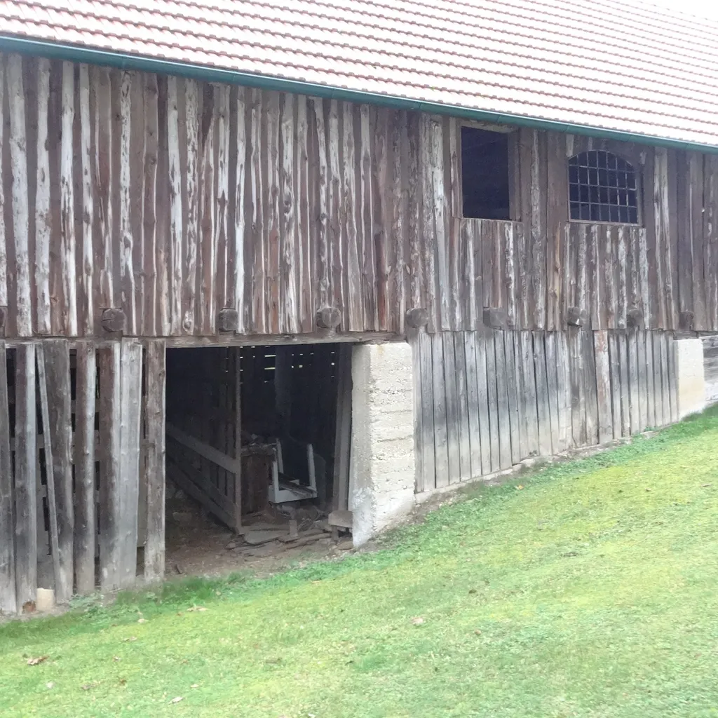 Feuerholz