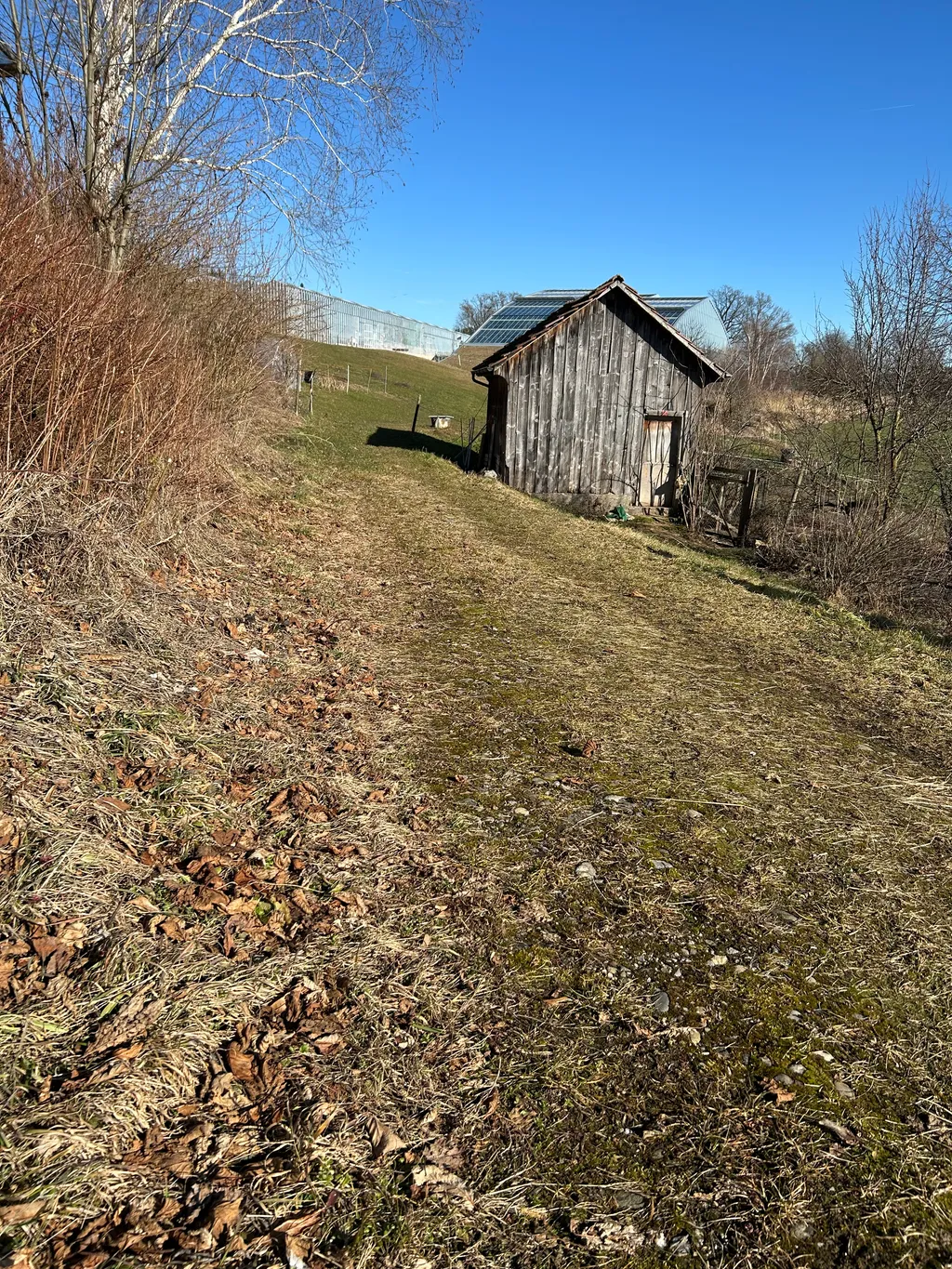 Biohof mit Sicht auf den Pilatus