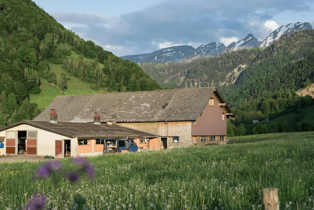 Bauernhof-Camp Wies