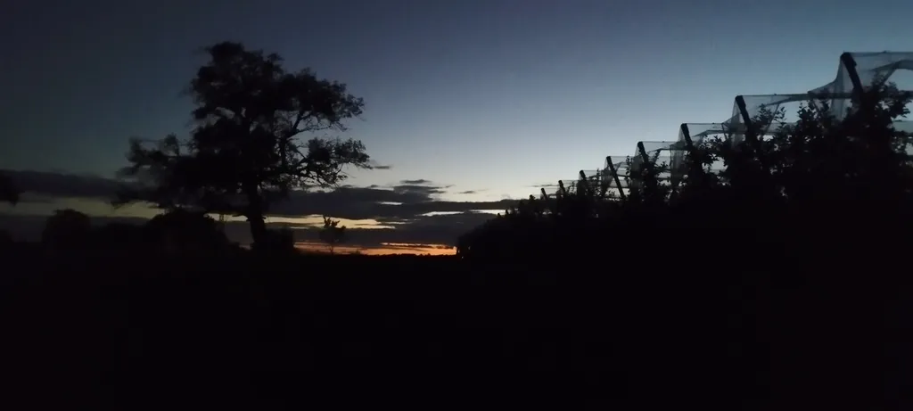 Bild von Mariana für den Spot 1621