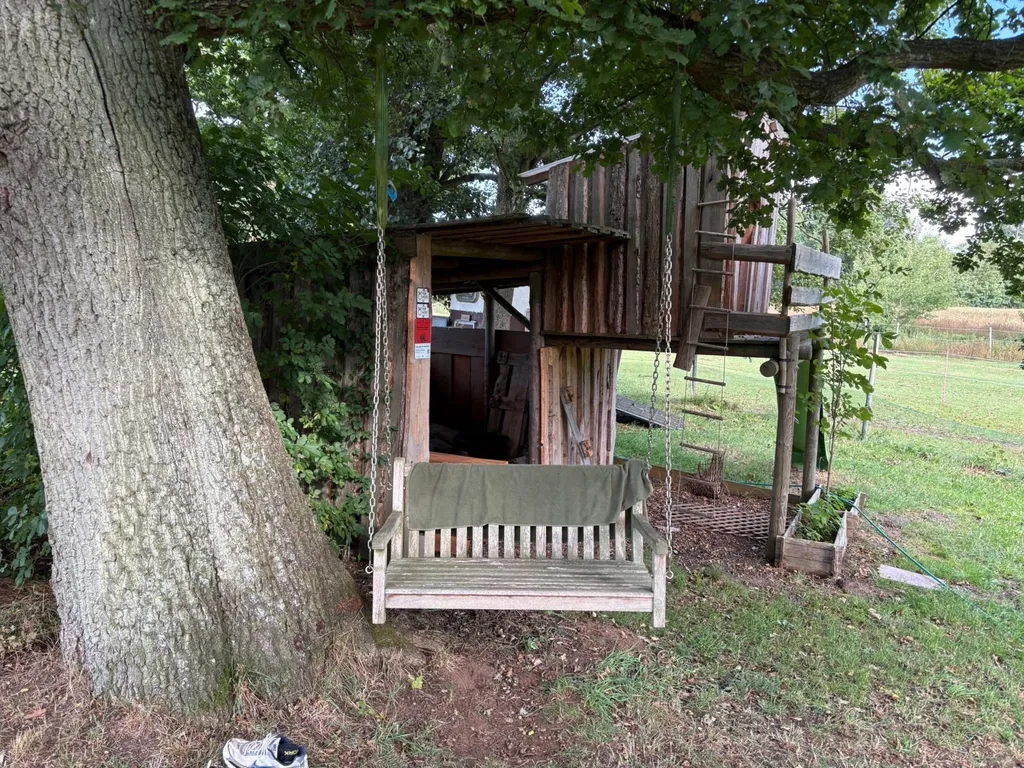 Wiese hinterm Haus neben Pferden