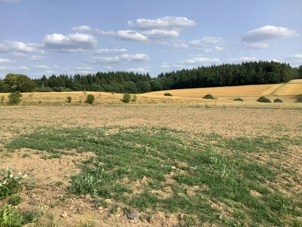 Romantischer Platz in der Eifel