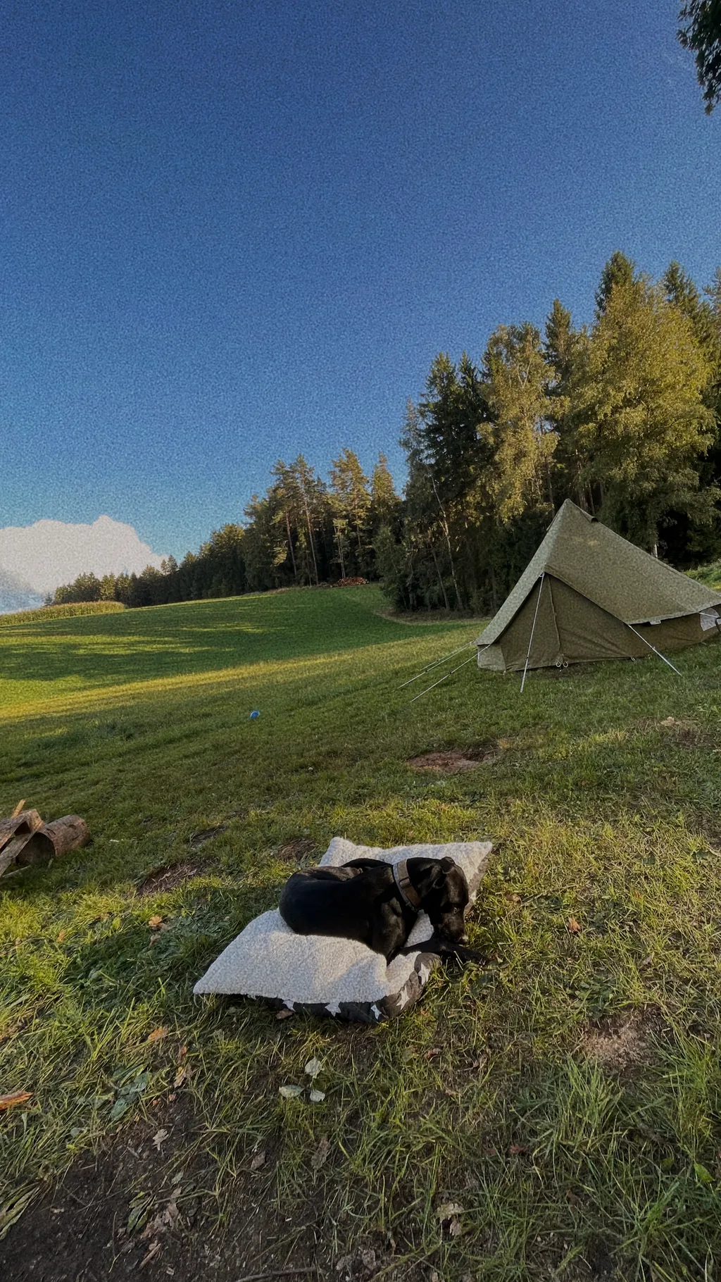 Bild von Justine für den Spot 2215