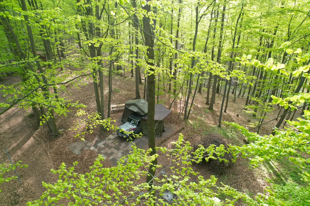 Vanstellplatz im Buchengrün
