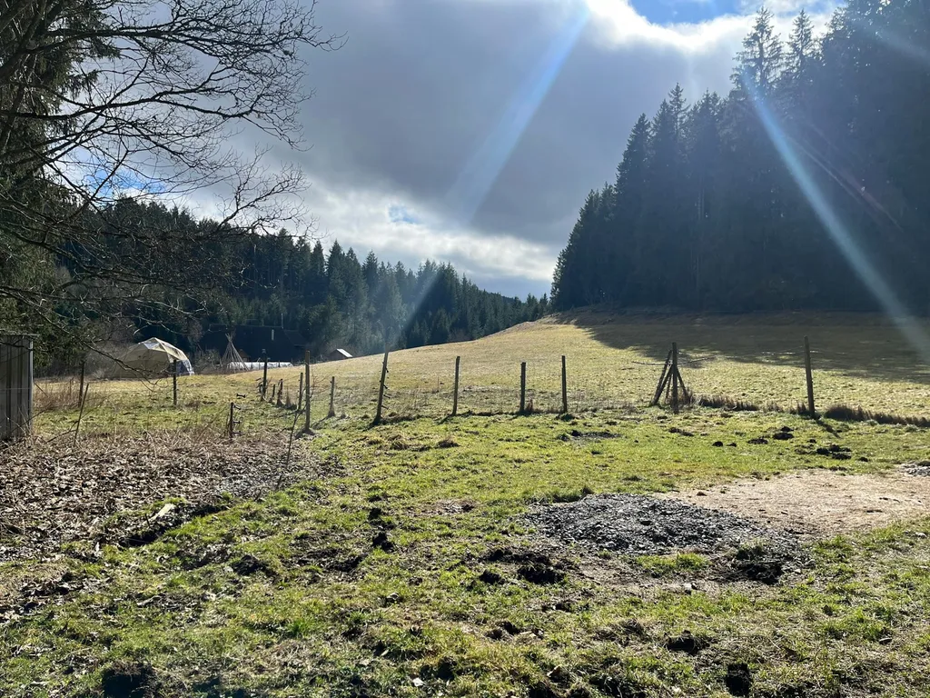 Ruhiger WiesenWaldPlatz
