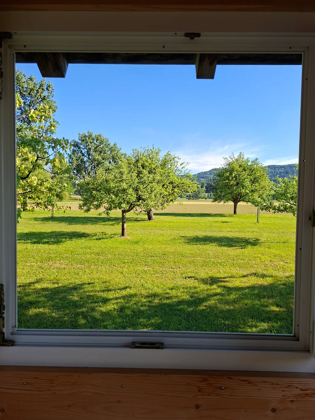 Bungert-Hüsli mit Weitblick