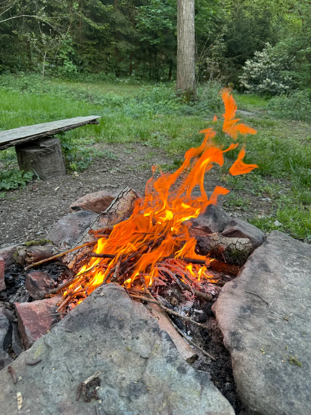 Bild von Frank für den Spot 1584