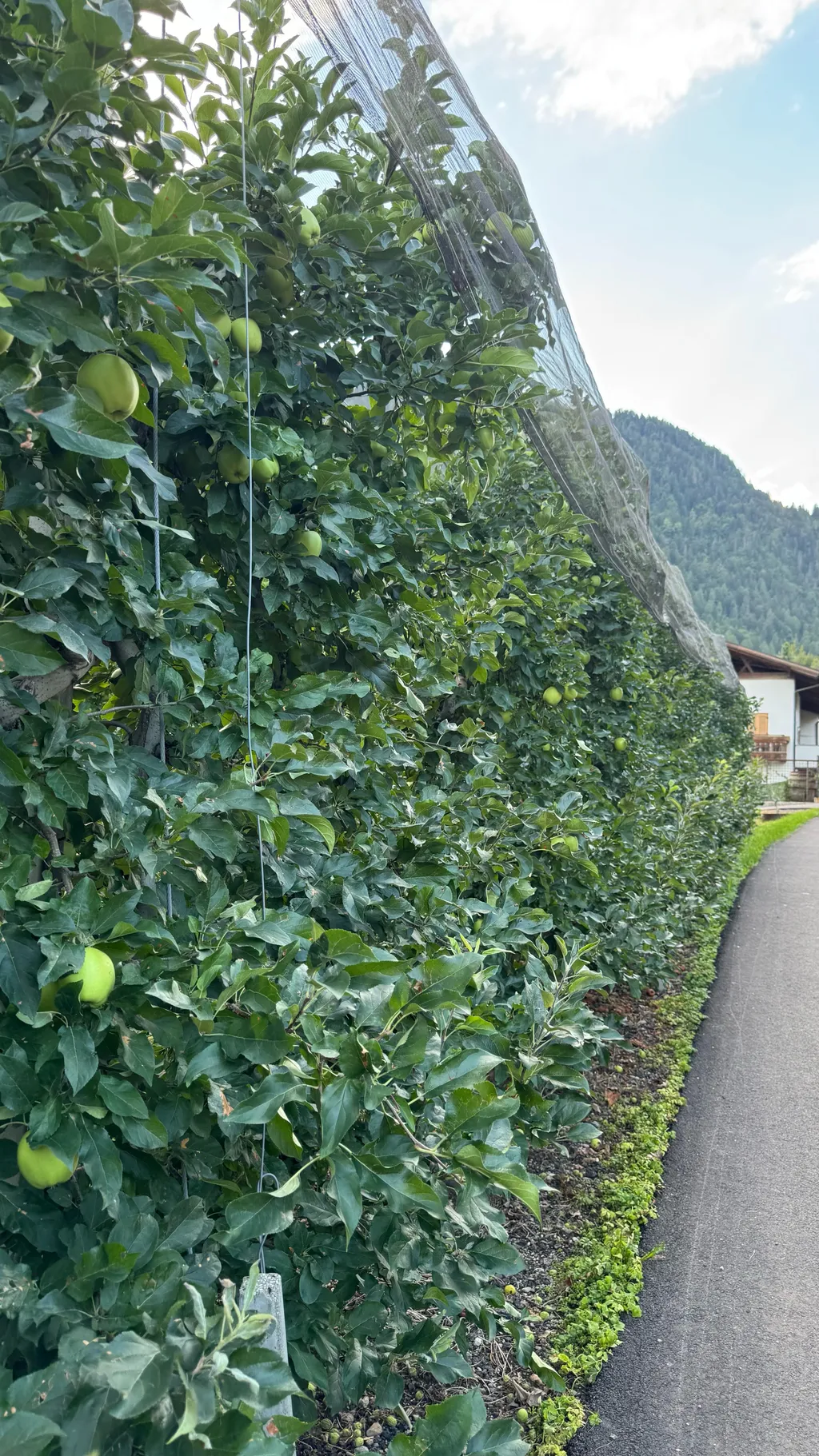 Bild von Moritz für den Spot 3356