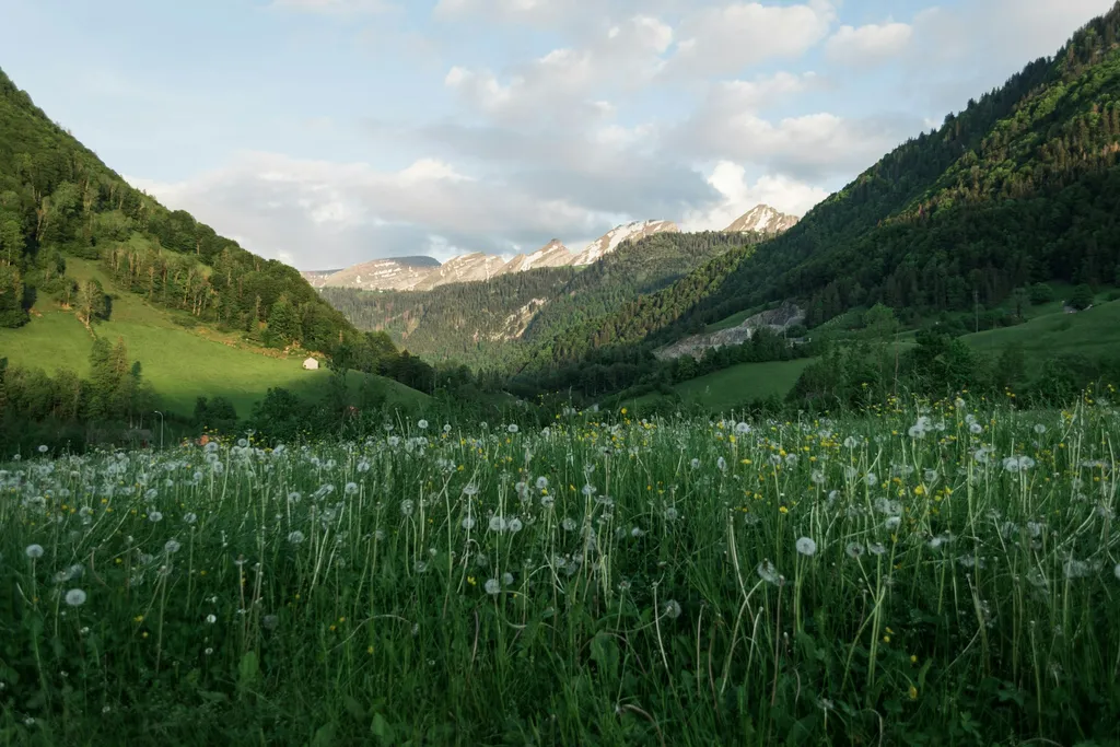 Bauernhof-Camp Wies