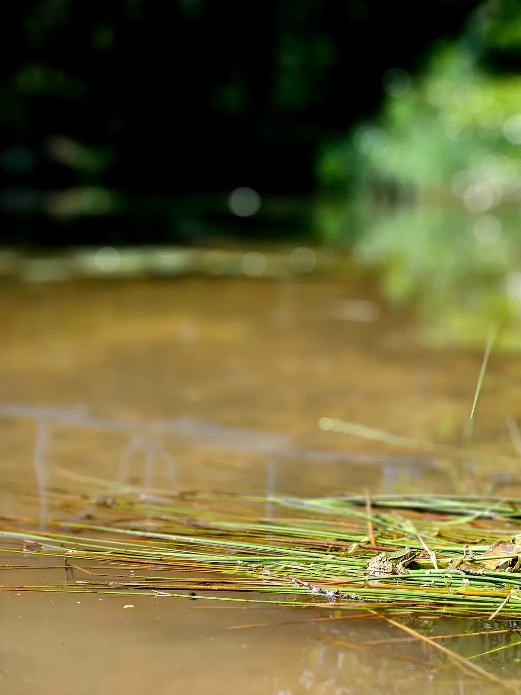Bild von Wladimir für den Spot 1549