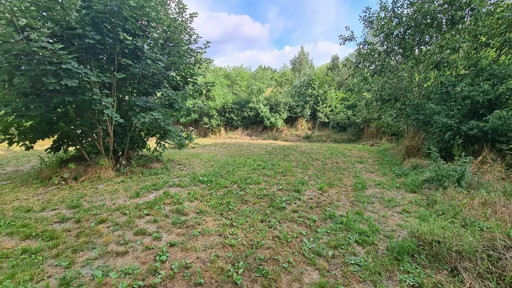 Naturnahe Stellplätze am Ortsrand