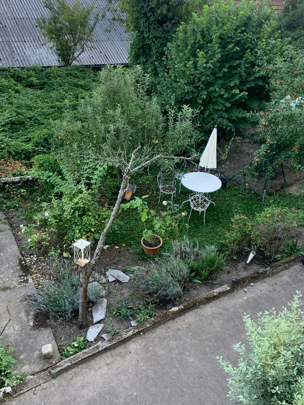 Wo der Hahn „Guten Morgen“ kräht