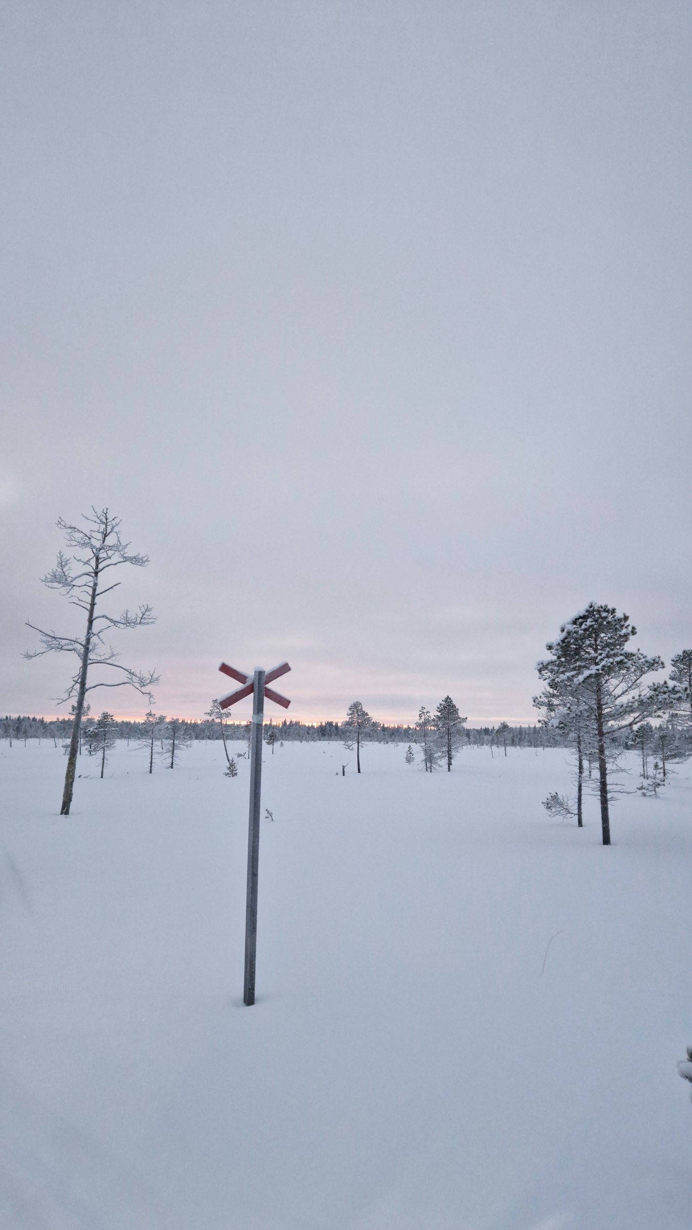 Stuga in Schwedisch Lappland photo 2