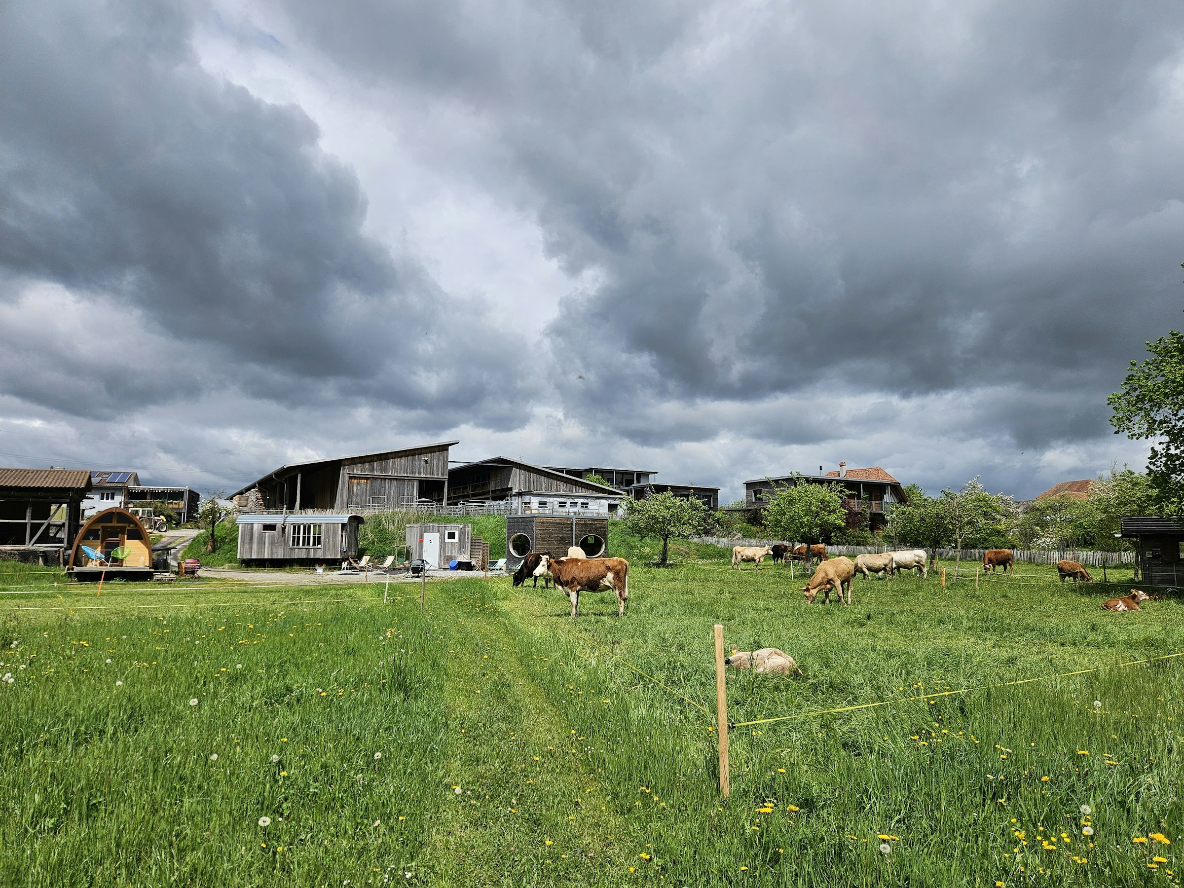 Biohof Schüpfenried