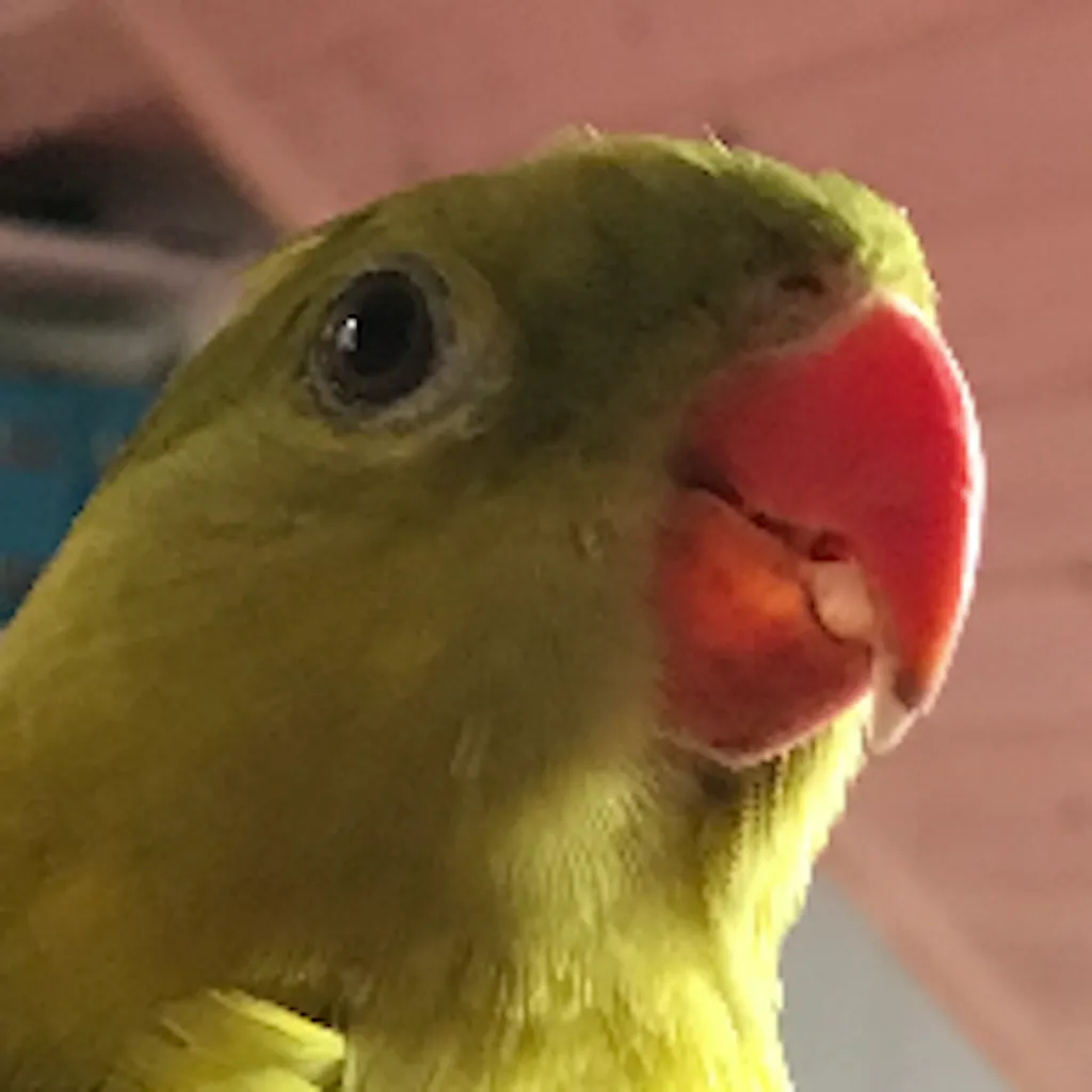 Profilbild von Olaf