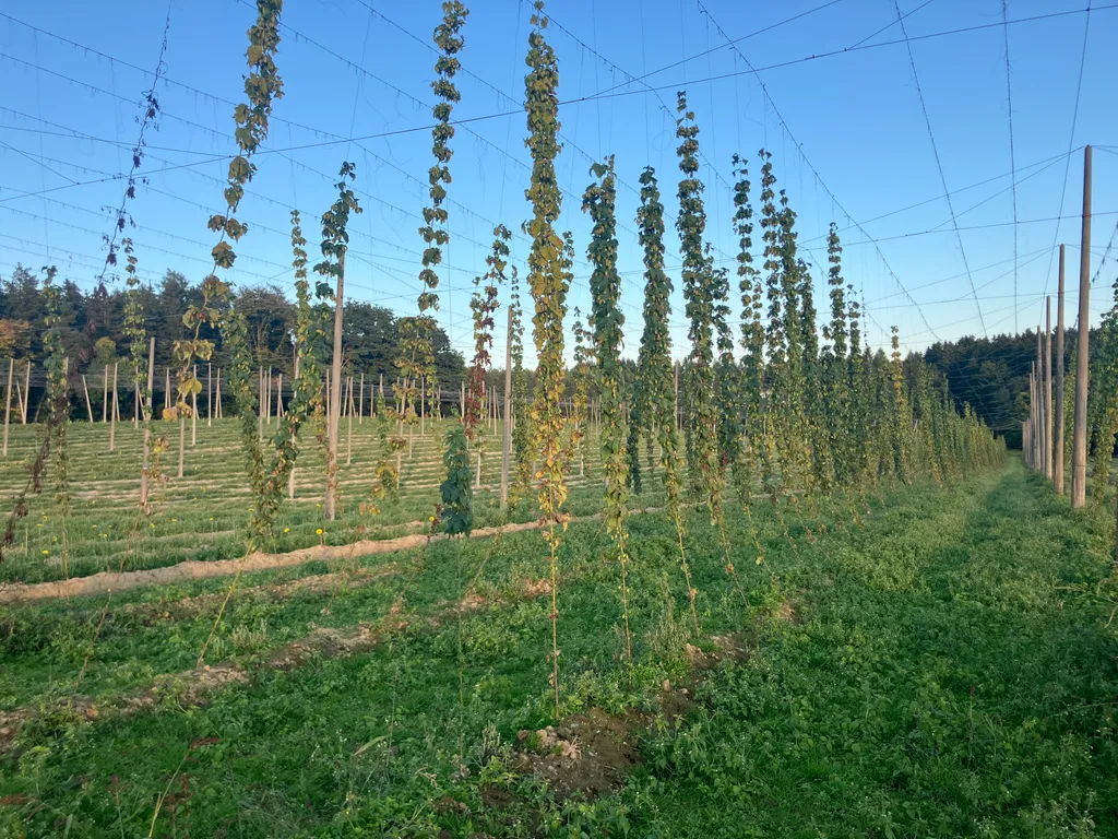 Bild von Silvia De La Cruz für den Spot 1556