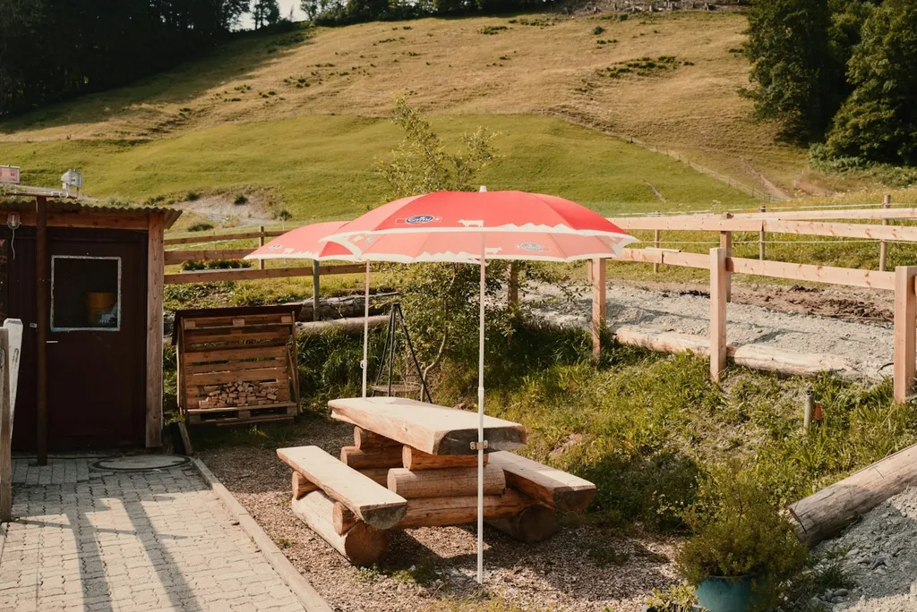 Zelten auf dem Haflingerhof